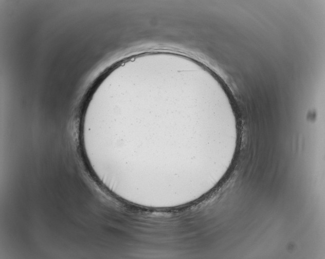 X0000116661503201001111239