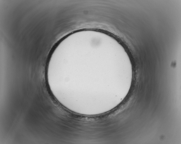 X0000116661505201001111239