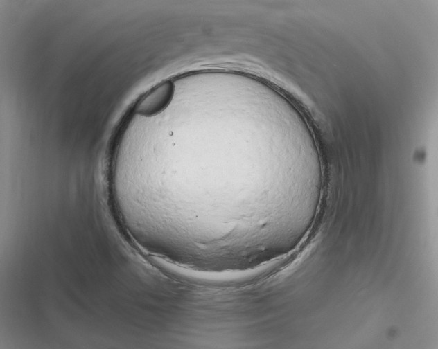 X0000116661506201001111239