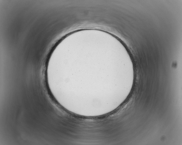 X0000116661507201001111239