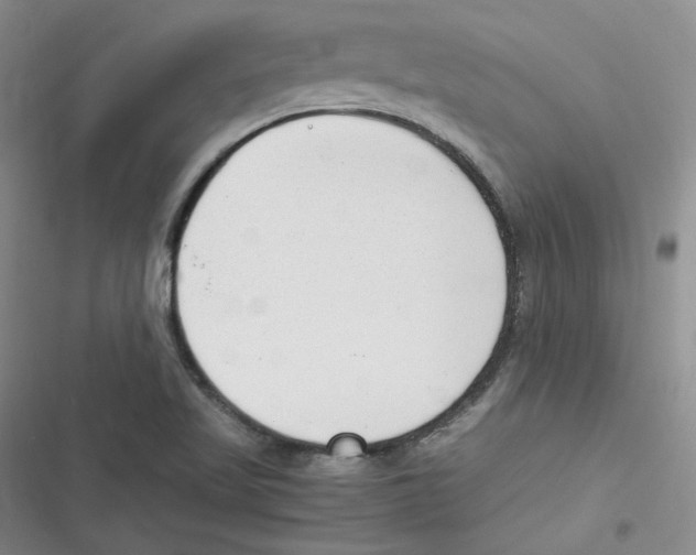 X0000116661509201001111239