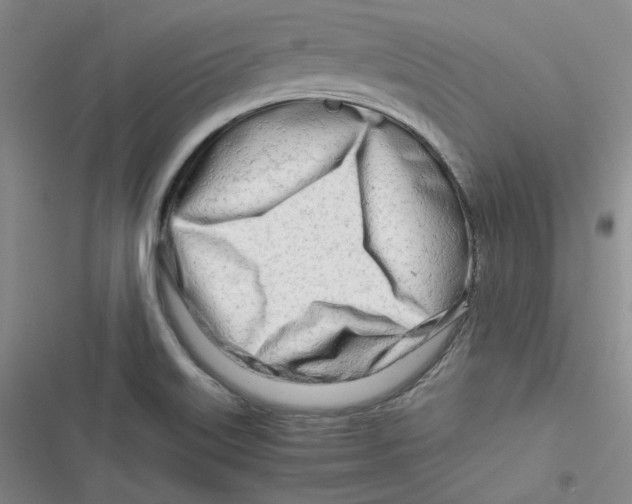 X0000116661515201001111239