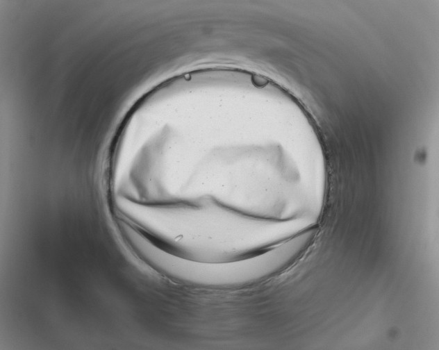 X0000116661519201001111239