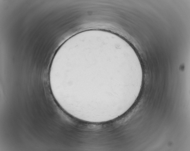 X0000116661521201001111239