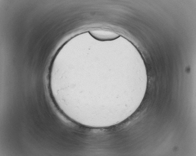 X0000116661523201001111239