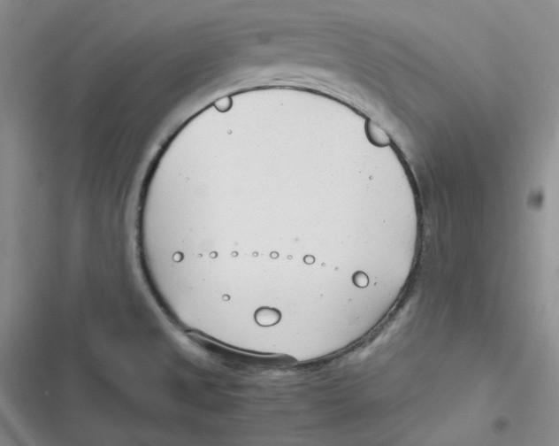 X0000116661525201001111239