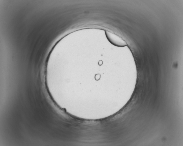 X0000116661526201001111239