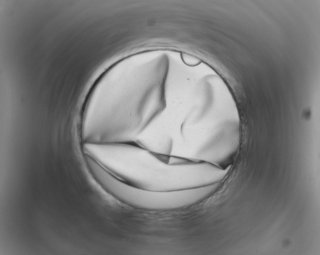 X0000116661527201001111239