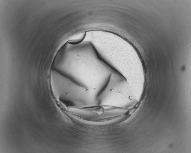 X0000116661529201001111239