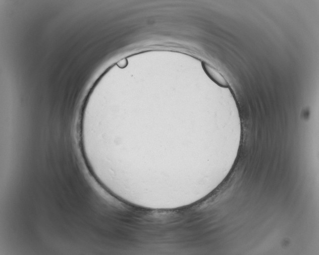 X0000116661531201001111239