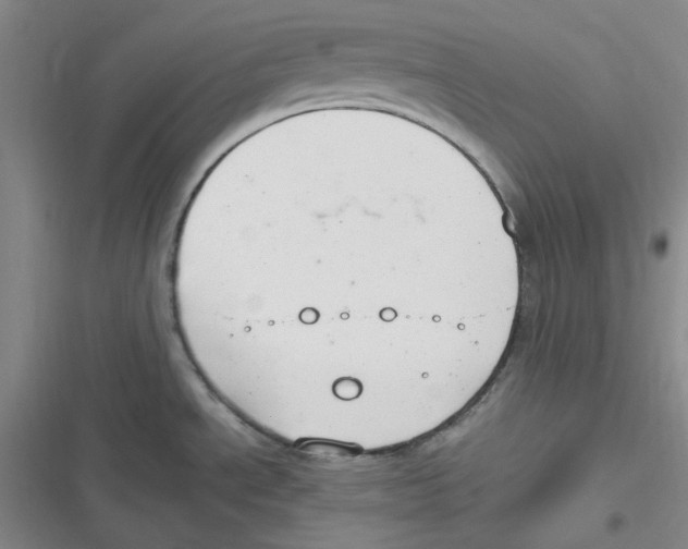 X0000116661534201001111239