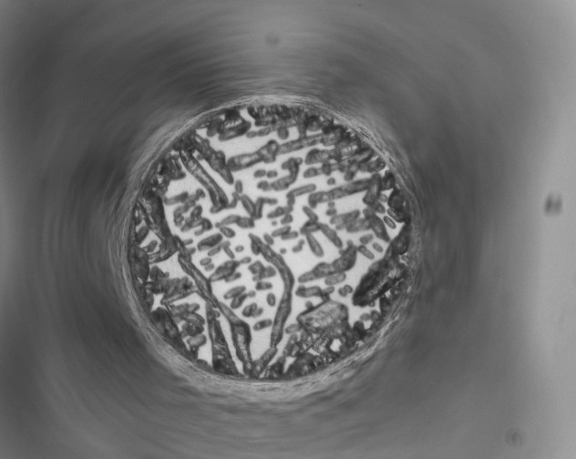 X0000116660001201001251227