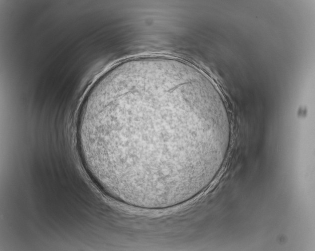 X0000116660002201001251227