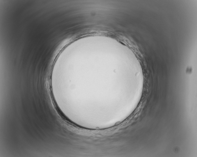 X0000116660003201001251227