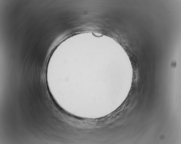 X0000116660004201001251227