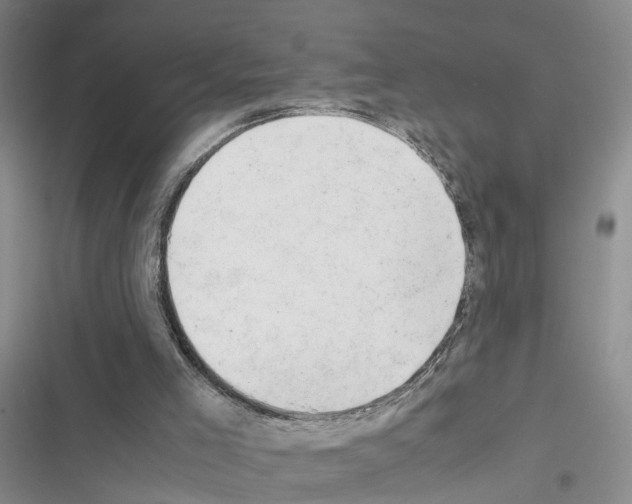 X0000116660005201001251227