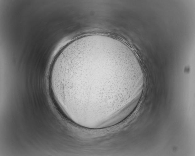 X0000116660006201001251227