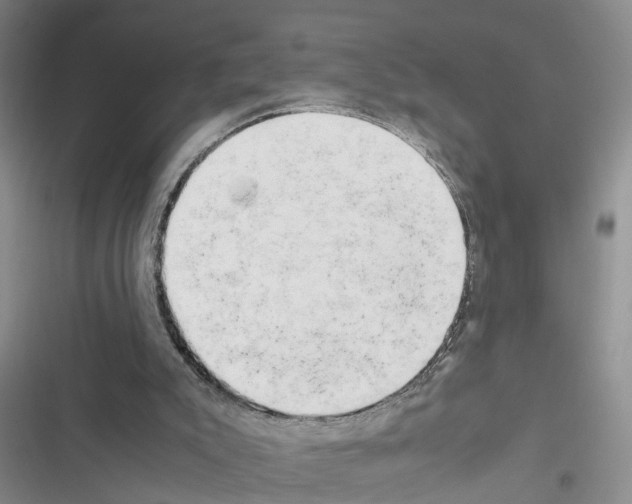 X0000116660007201001251227