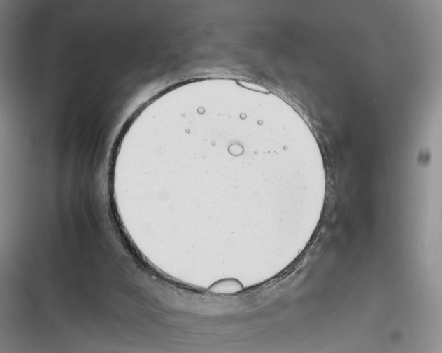X0000116660008201001251227