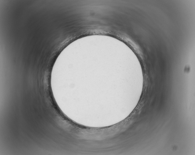 X0000116660009201001251227