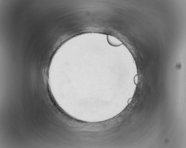 X0000116660011201001251227