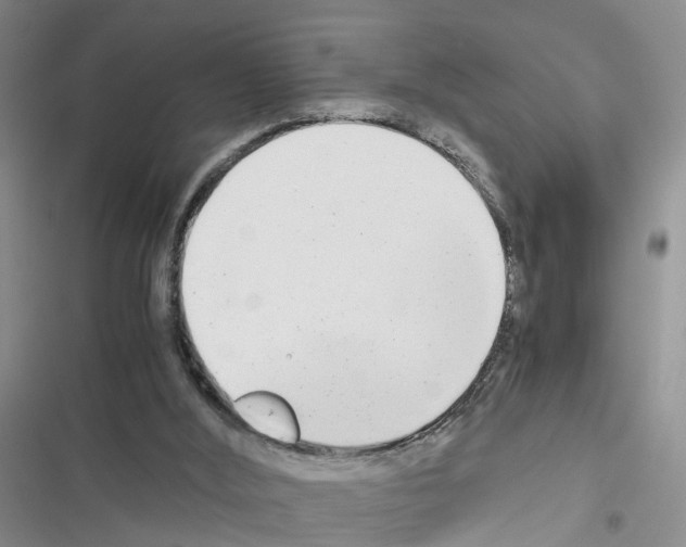 X0000116660012201001251227
