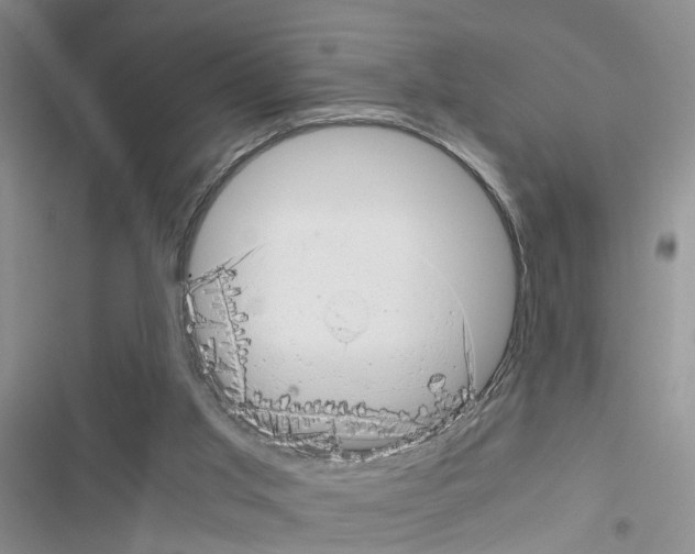 X0000116660013201001251227