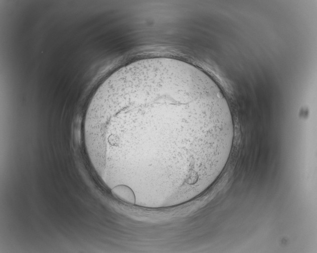 X0000116660014201001251227