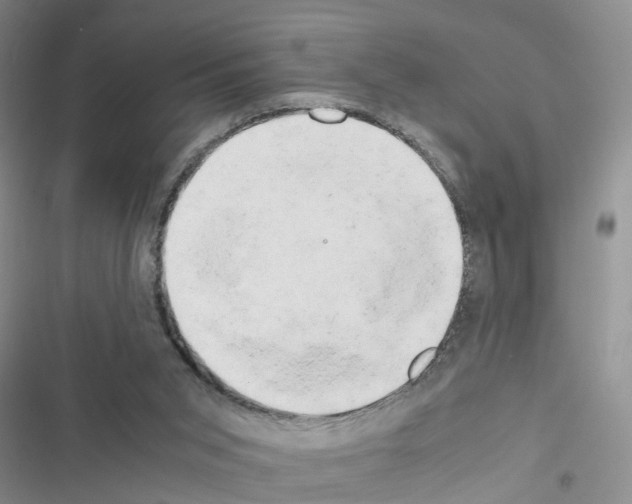 X0000116660015201001251227