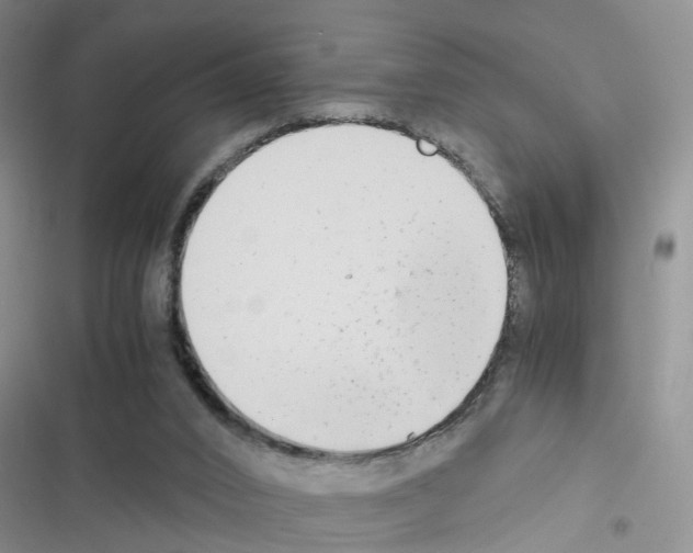 X0000116660016201001251227