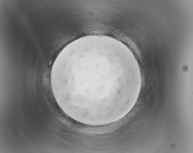 X0000116660017201001251227