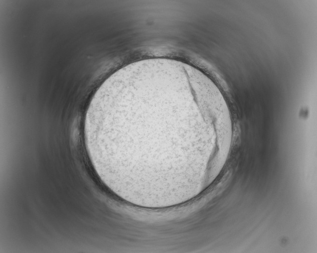 X0000116660018201001251227