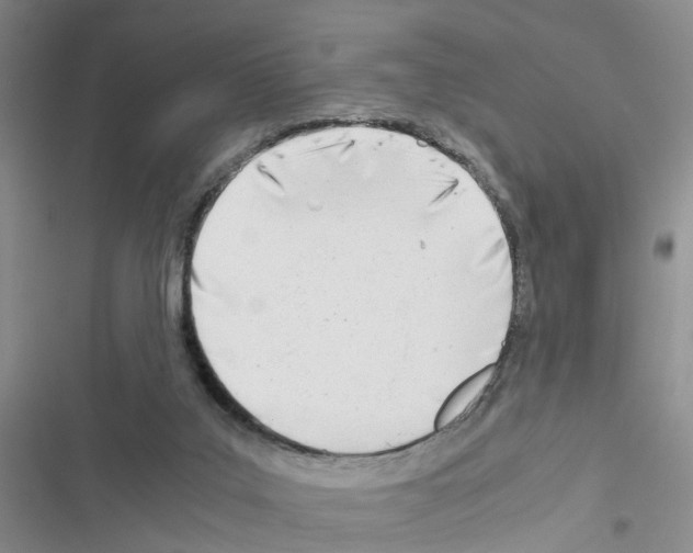 X0000116660019201001251227