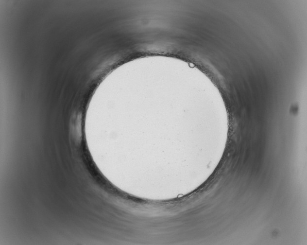 X0000116660020201001251227