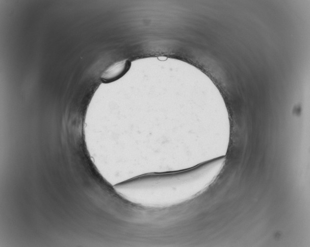 X0000116660021201001251227