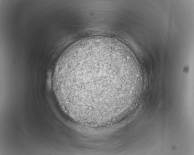 X0000116660022201001251227