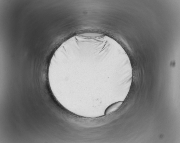 X0000116660023201001251227