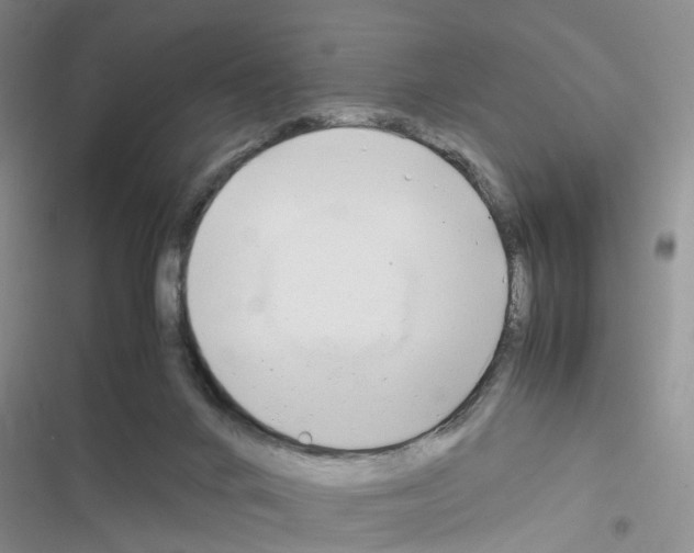X0000116660024201001251227