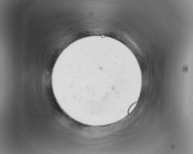 X0000116660025201001251227