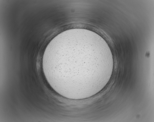 X0000116660026201001251227