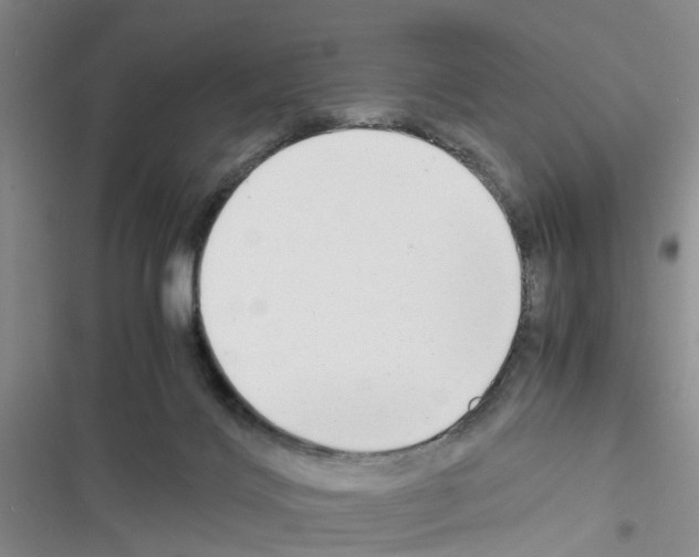 X0000116660028201001251227