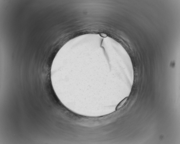 X0000116660029201001251227