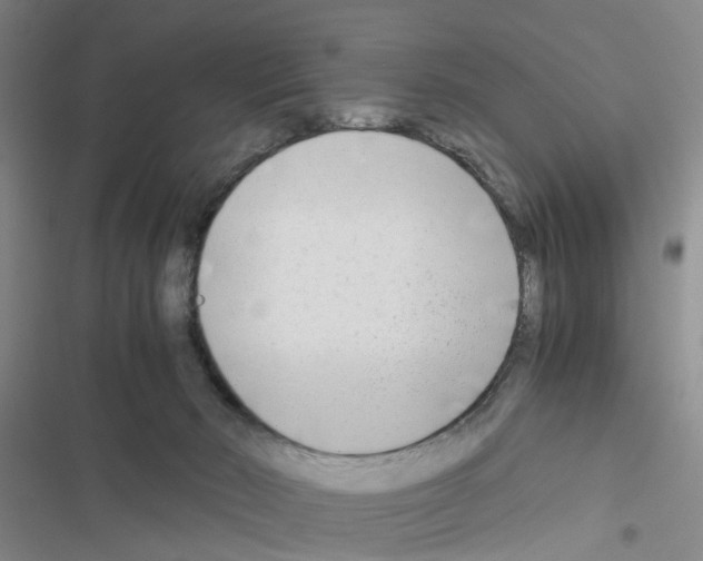 X0000116660030201001251227