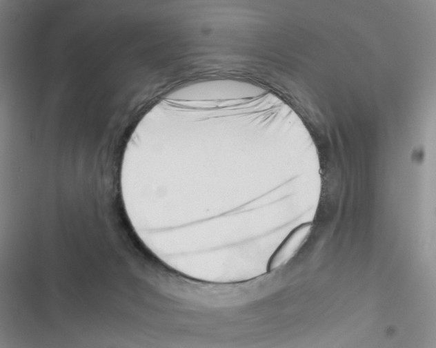 X0000116660031201001251227