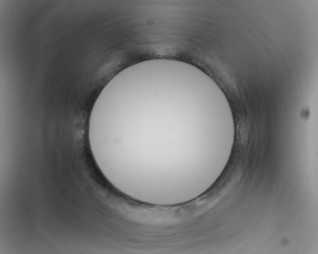 X0000116660032201001251227