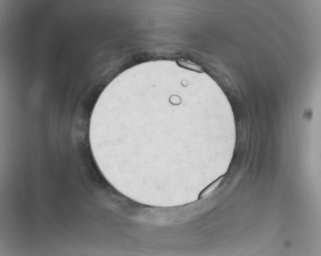 X0000116660033201001251227