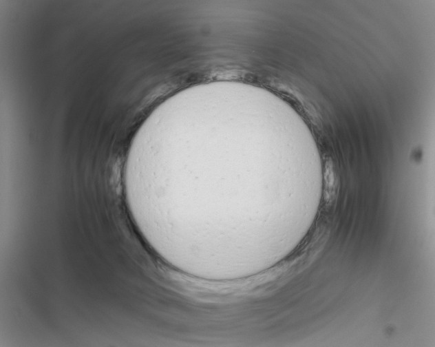 X0000116660034201001251227