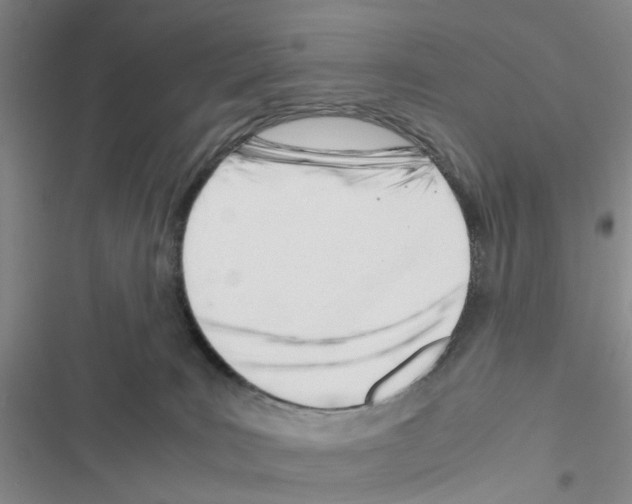 X0000116660035201001251227