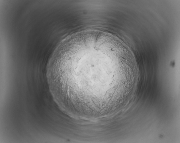 X0000116660036201001251227