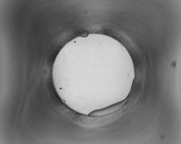 X0000116660037201001251227